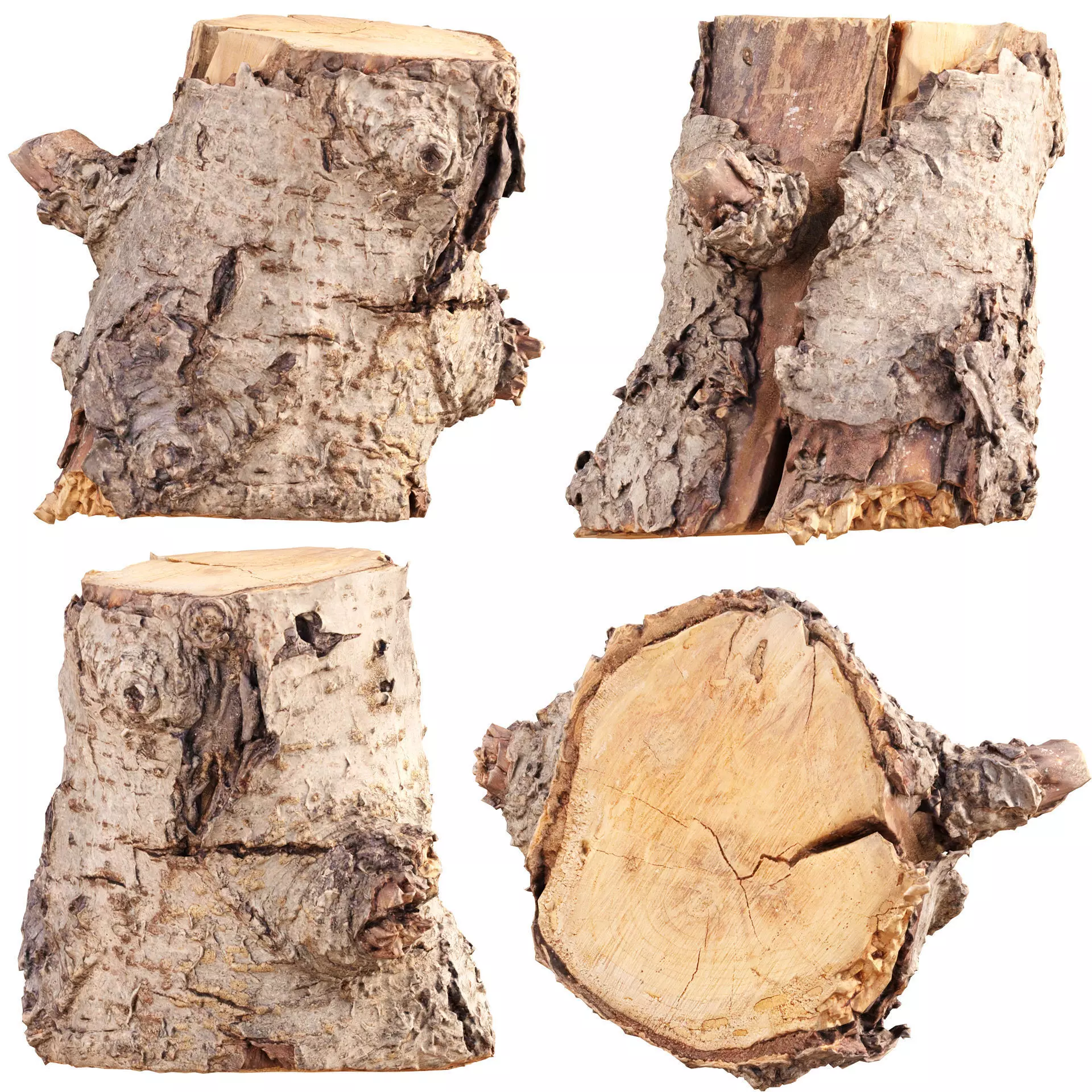 3D Scanned Tree Log Realistic Model With LOD Vol 02 Low-poly 3D model_0