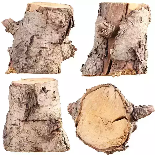 3D Scanned Tree Log Realistic Model With LOD Vol 02 Low-poly 3D model