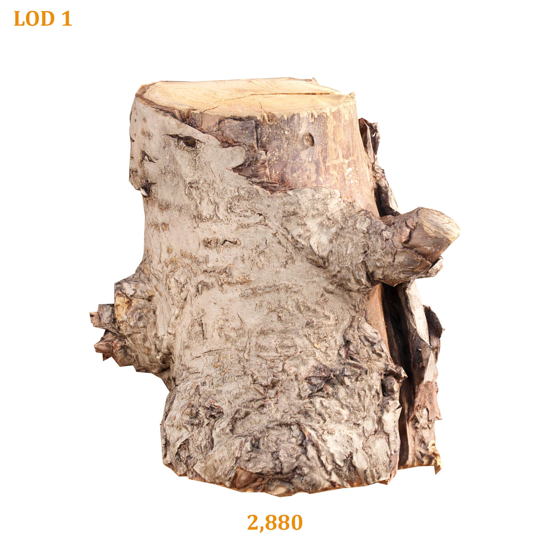 3D Scanned Tree Log Realistic Model With LOD Vol 02 Low-poly 3D model_3