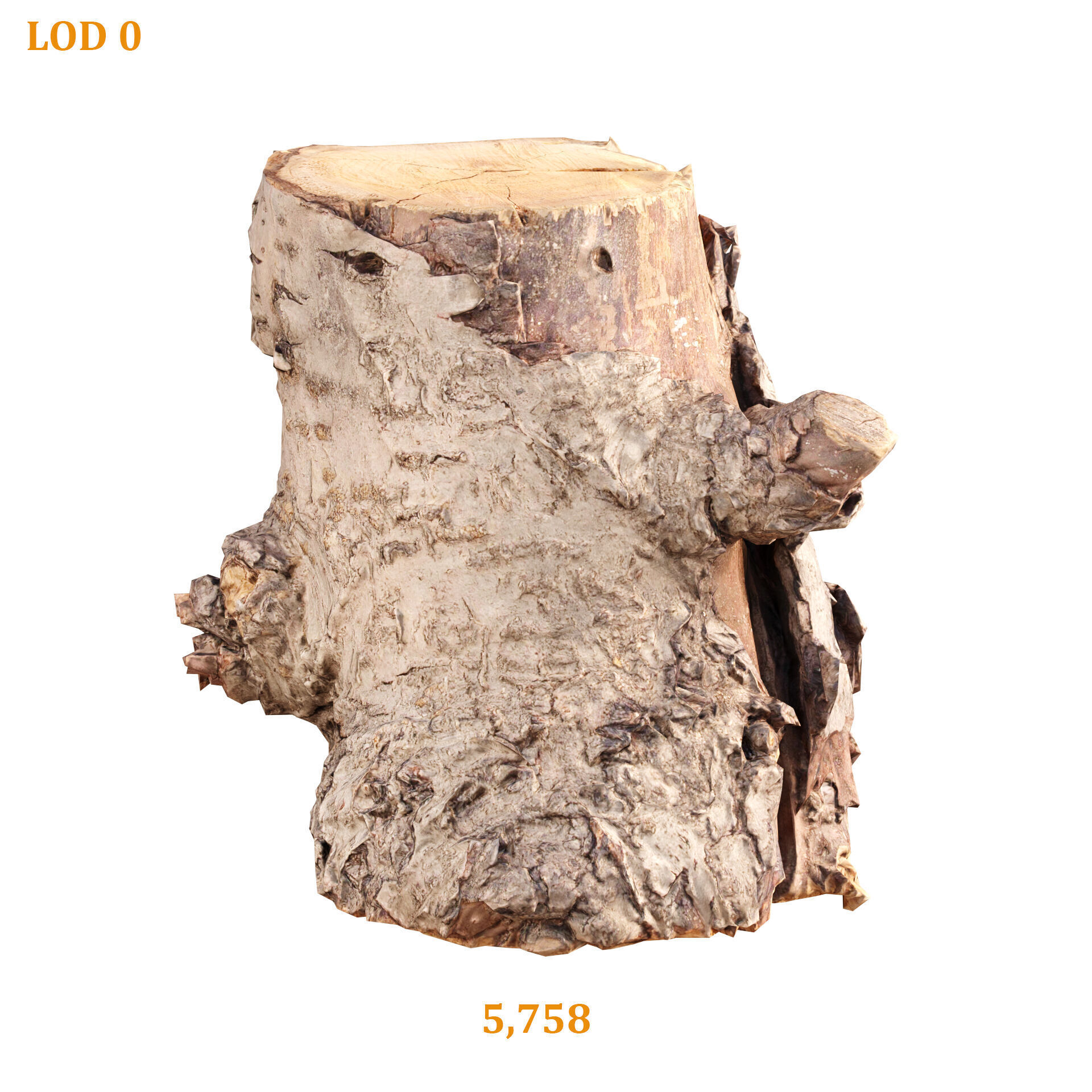 3D Scanned Tree Log Realistic Model With LOD Vol 02 Low-poly 3D model_2