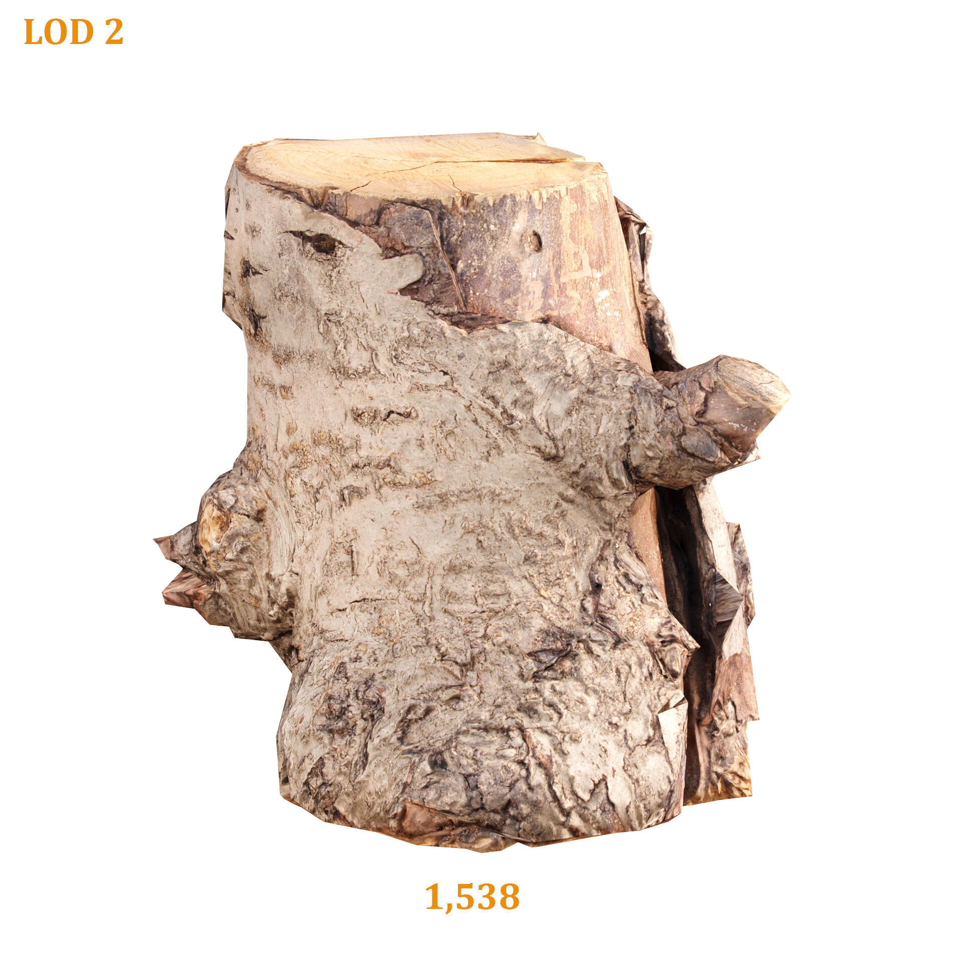 3D Scanned Tree Log Realistic Model With LOD Vol 02 Low-poly 3D model_4