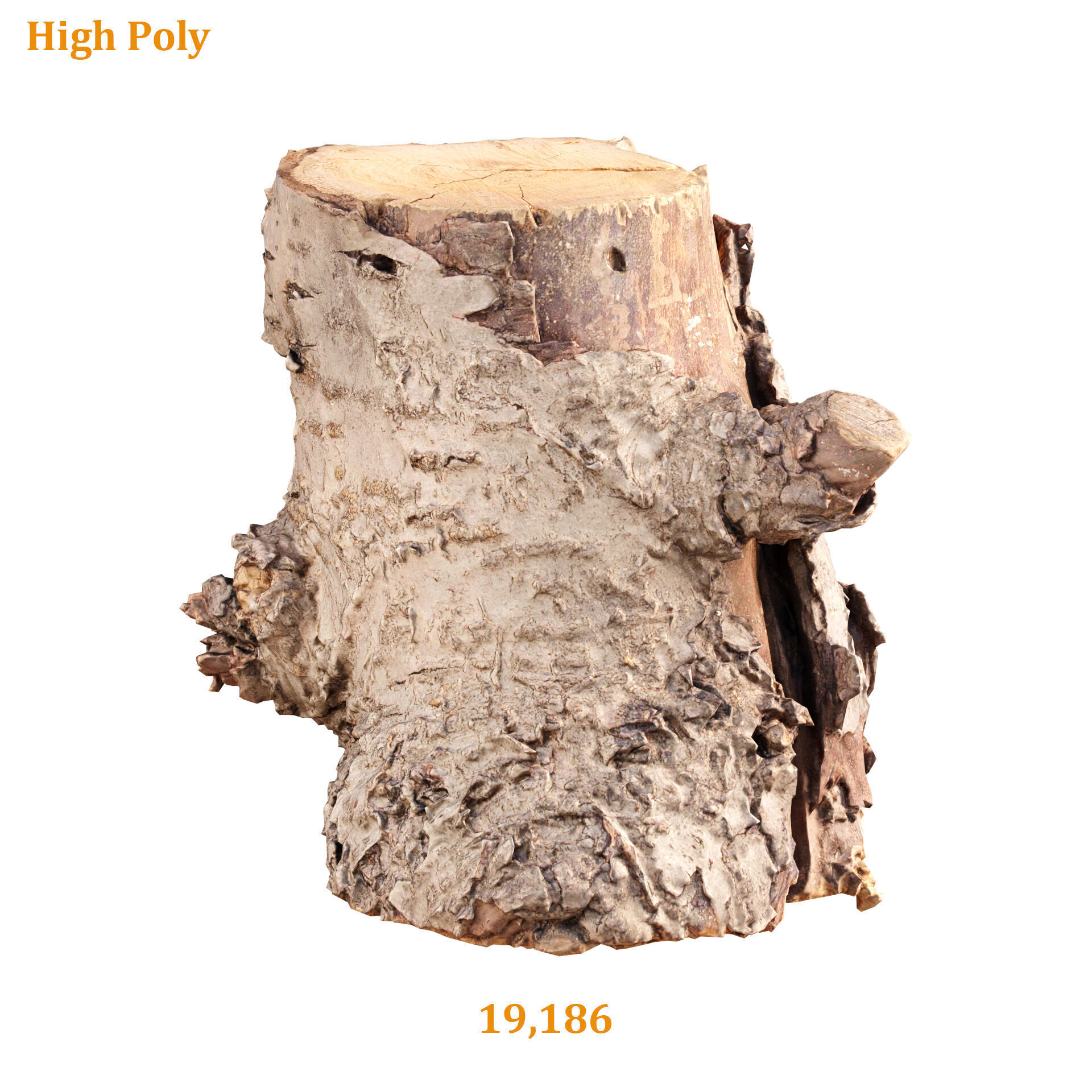 3D Scanned Tree Log Realistic Model With LOD Vol 02 Low-poly 3D model_1