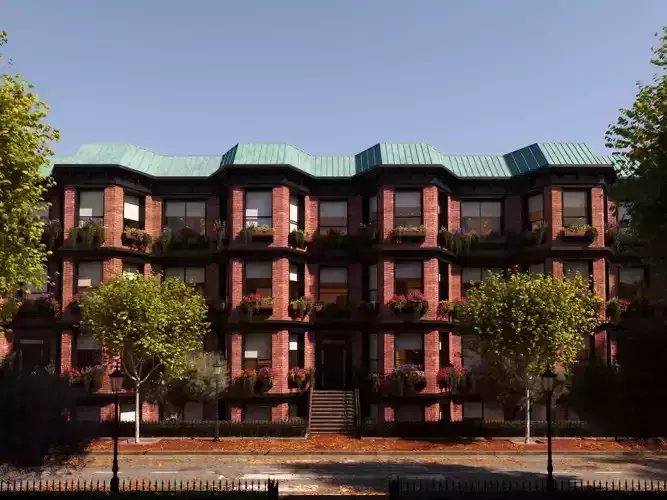 Platanus x hispanica  S 02 London plane Platanaceae