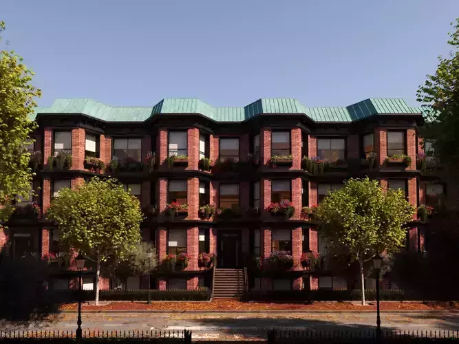 Platanus x hispanica  S 04 London plane Platanaceae