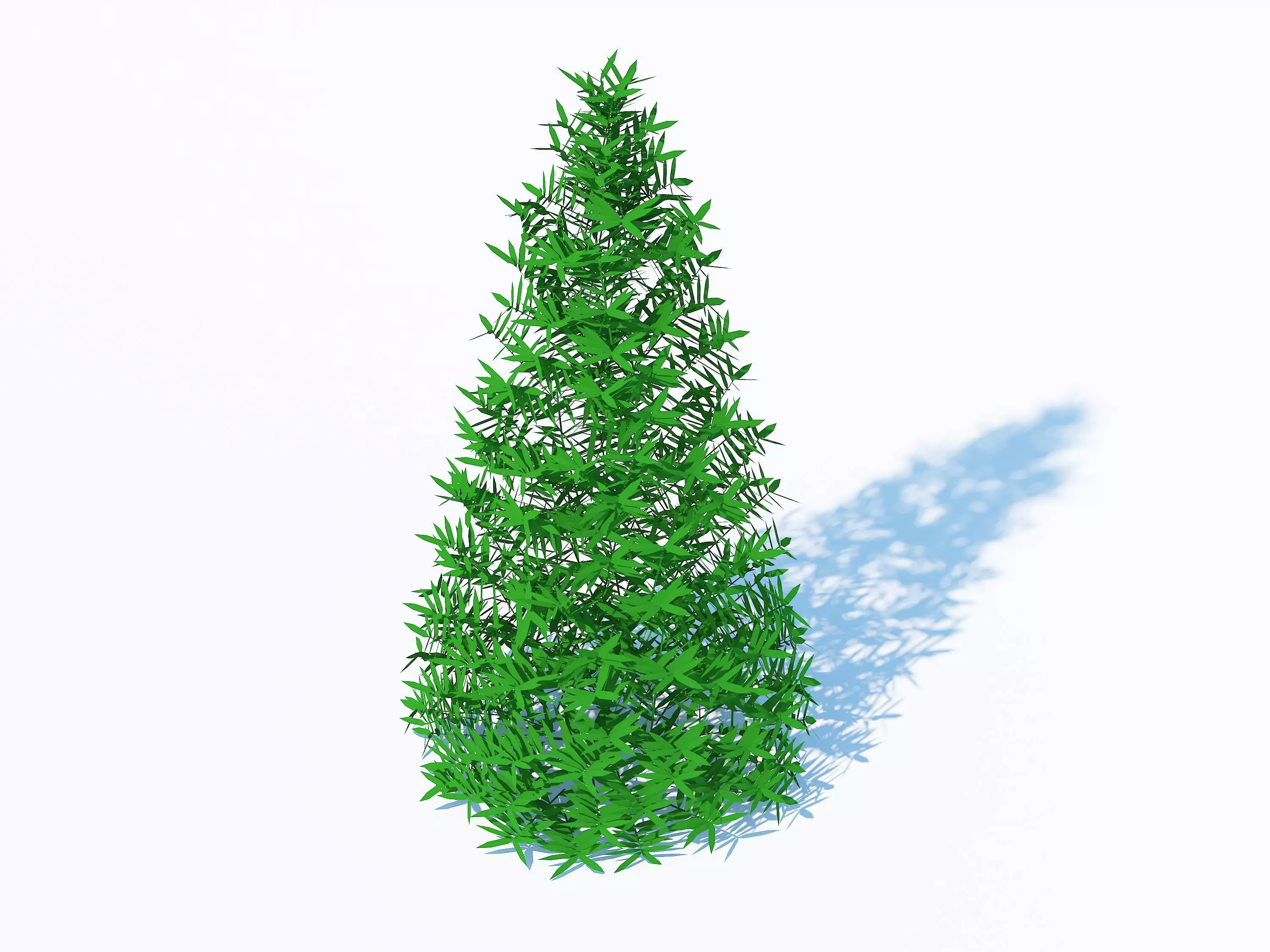  Plant Taxus Media-Pyramidal  Low-poly 3D model_0
