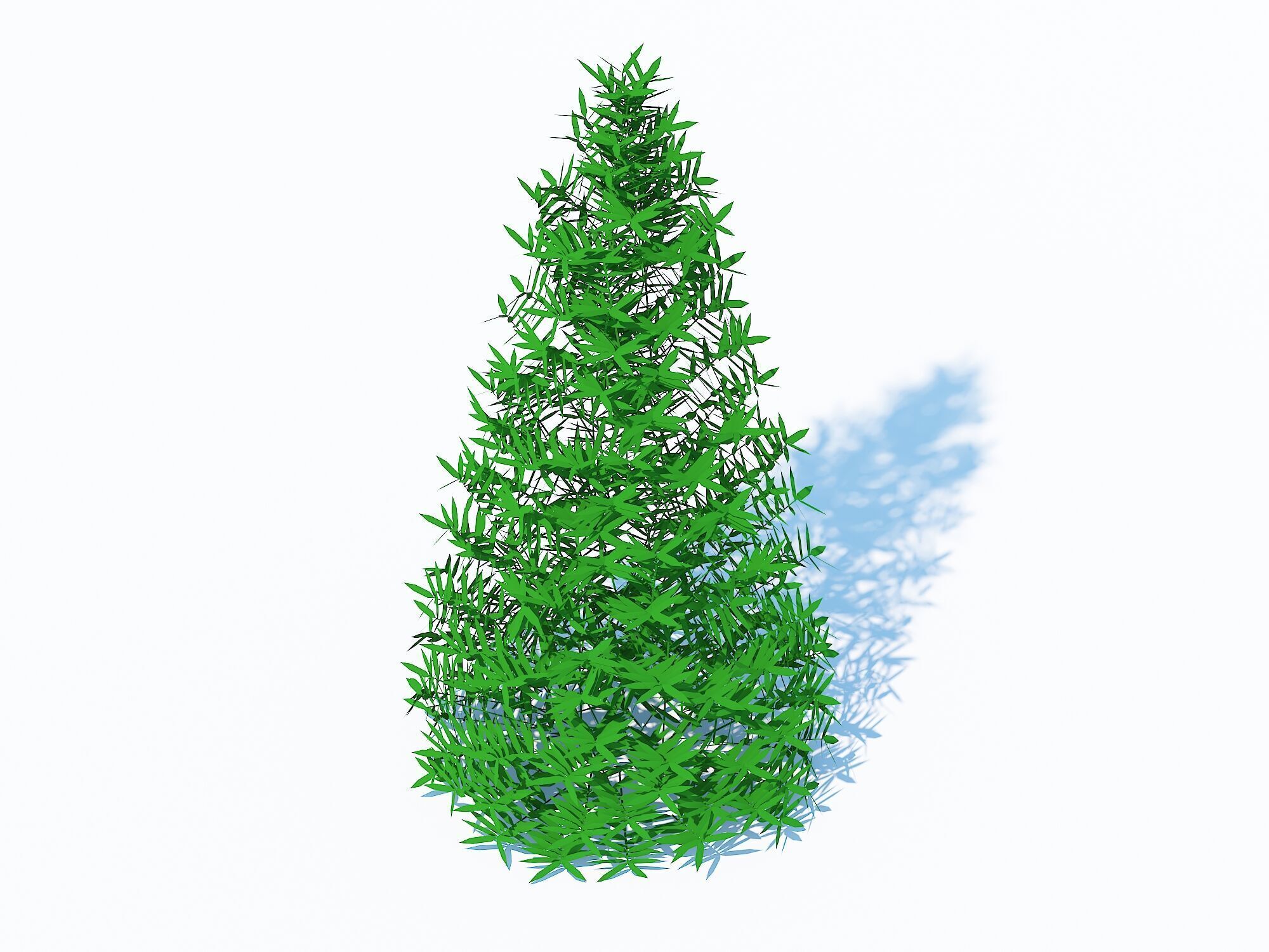  Plant Taxus Media-Pyramidal  Low-poly 3D model_3
