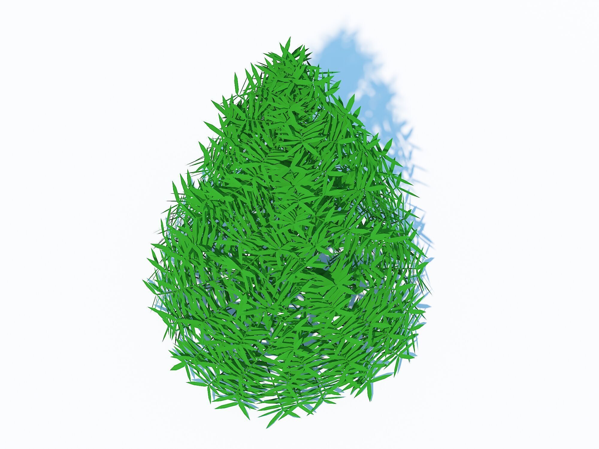  Plant Taxus Media-Pyramidal  Low-poly 3D model_4
