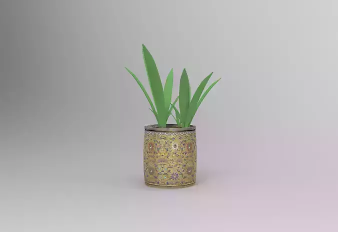Plant pot flower