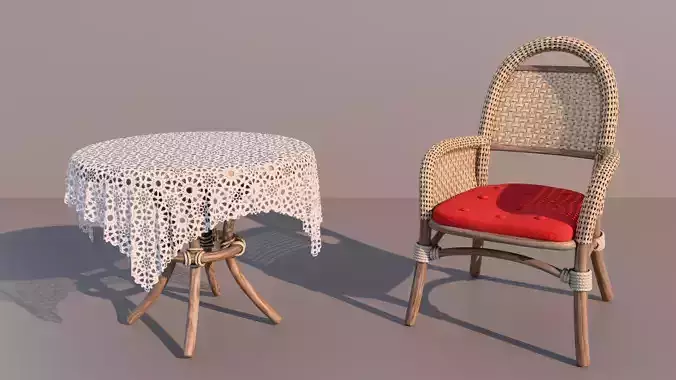 Garden table and wicker chair