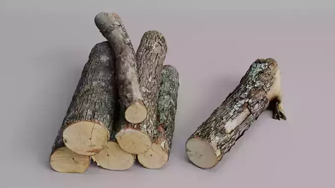 Wood Log Scan Pack