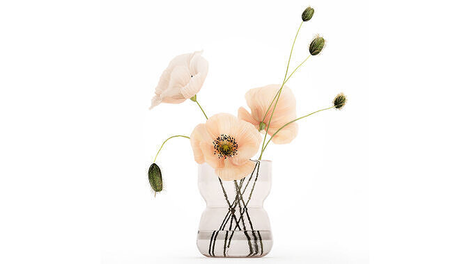 Beautiful  Bouquet  Glass Vase Icelandic Poppy 577 3D model