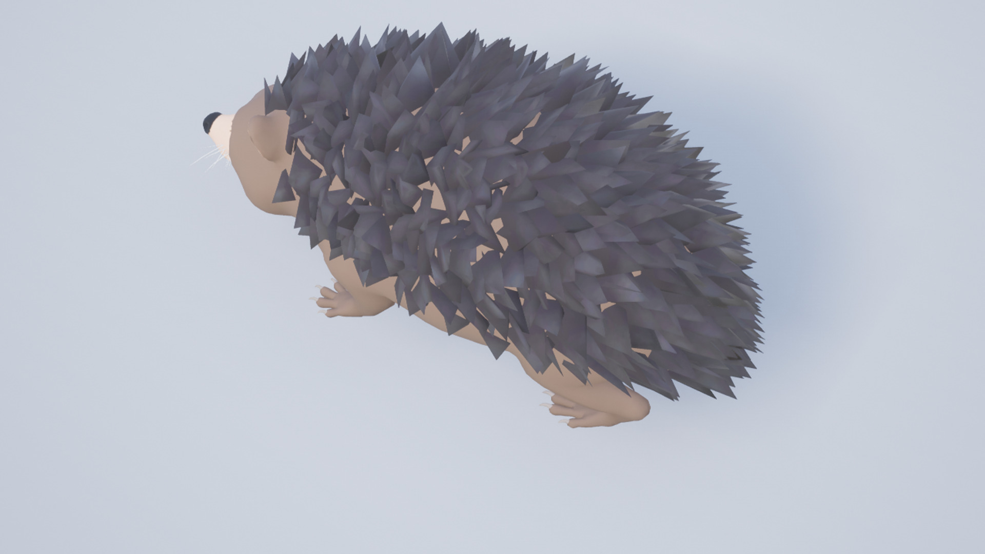 Cartoon Hedgehog Low-poly 3D model_10