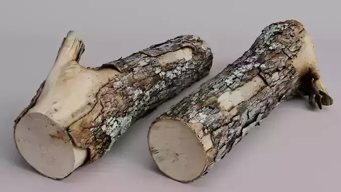 Free 4k Wood Log Scan