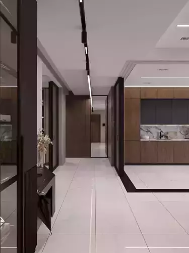 Apartment Home interior  modern desin