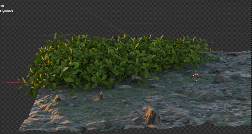 10 type of Plant Grass collection 3D model_13