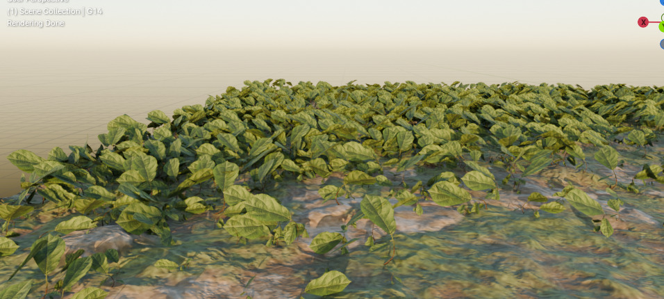 10 type of Plant Grass collection 3D model_32