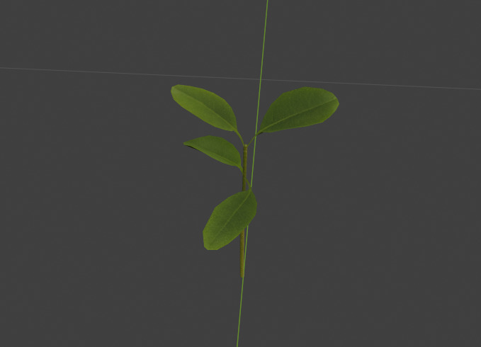 10 type of Plant Grass collection 3D model_9