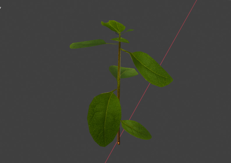 10 type of Plant Grass collection 3D model_24