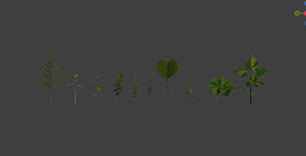 10 type of Plant Grass collection 3D model_3