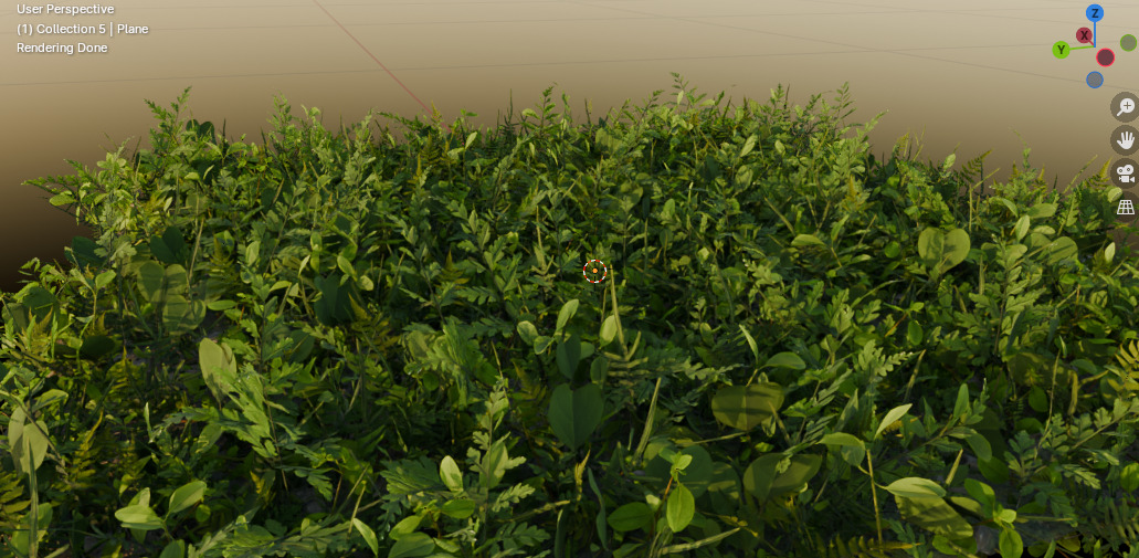10 type of Plant Grass collection 3D model_52