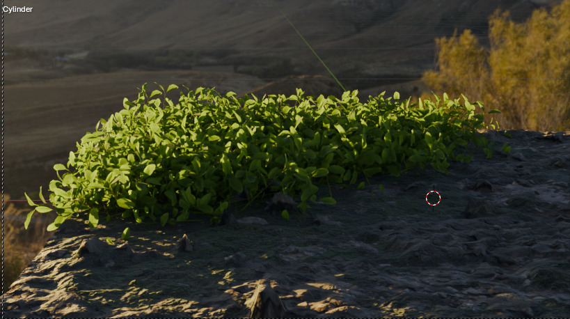 10 type of Plant Grass collection 3D model_14