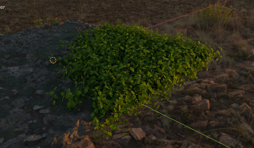 10 type of Plant Grass collection 3D model_7