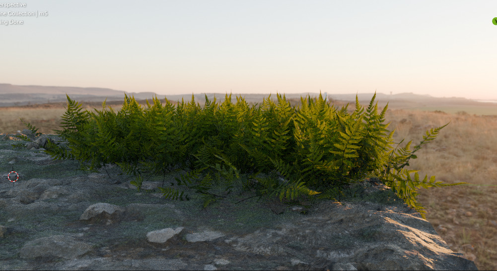 10 type of Plant Grass collection 3D model_41