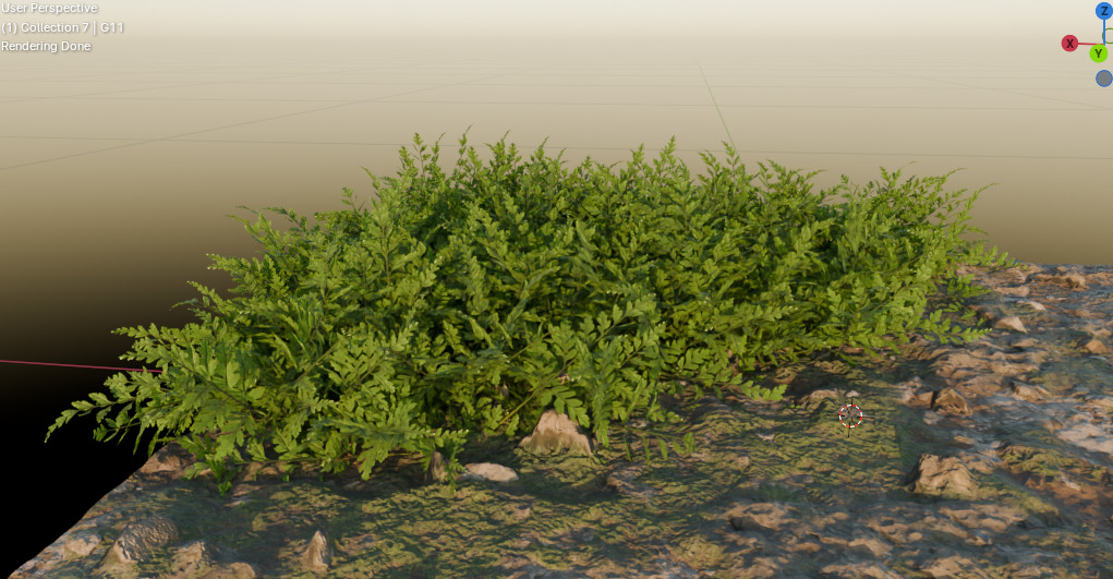 10 type of Plant Grass collection 3D model_21