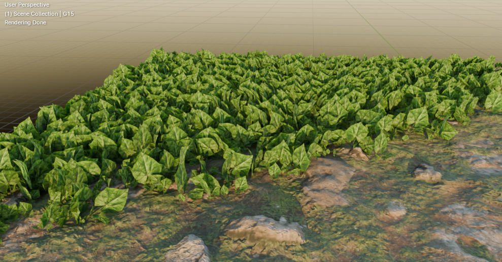 10 type of Plant Grass collection 3D model_30