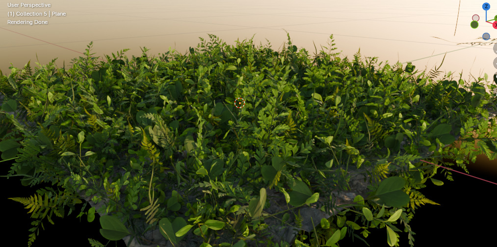 10 type of Plant Grass collection 3D model_50