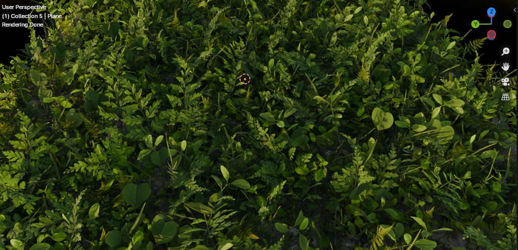 10 type of Plant Grass collection 3D model_51