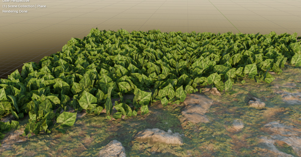 10 type of Plant Grass collection 3D model_29