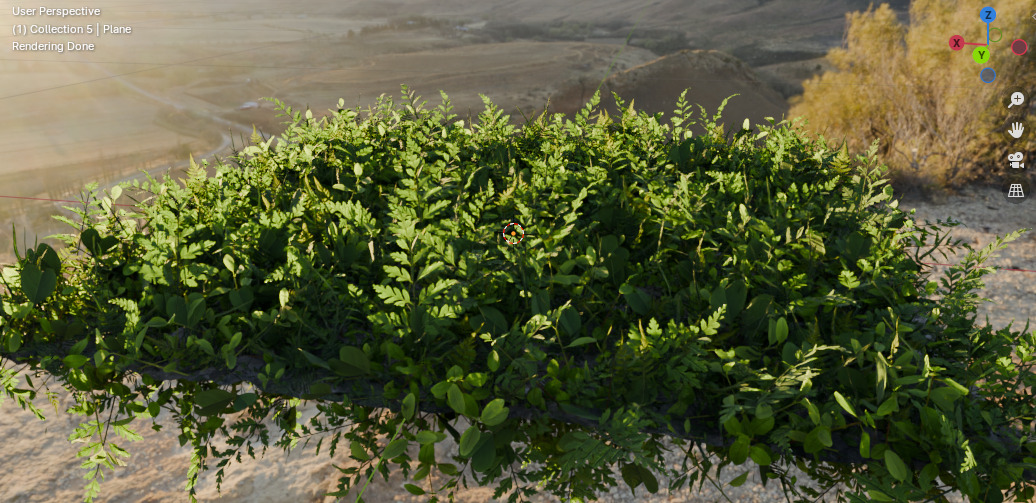 10 type of Plant Grass collection 3D model_53