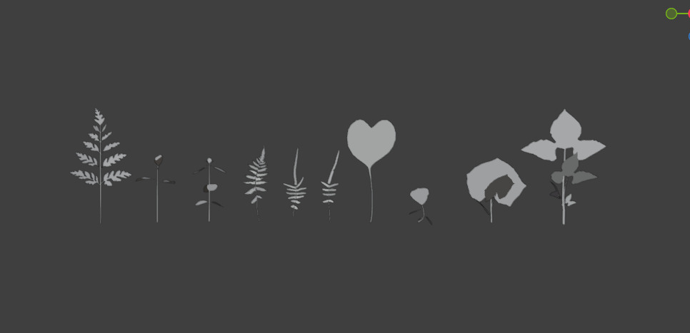 10 type of Plant Grass collection 3D model_2