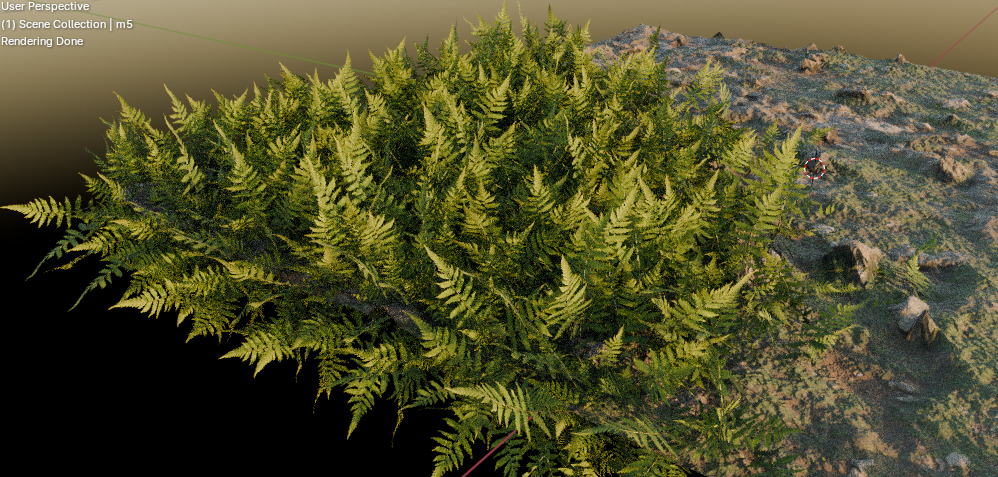 10 type of Plant Grass collection 3D model_17