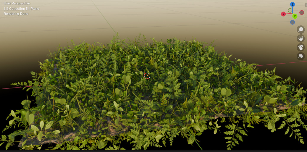 10 type of Plant Grass collection 3D model_49