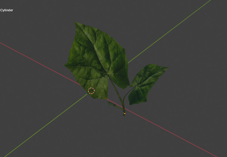 10 type of Plant Grass collection 3D model_28