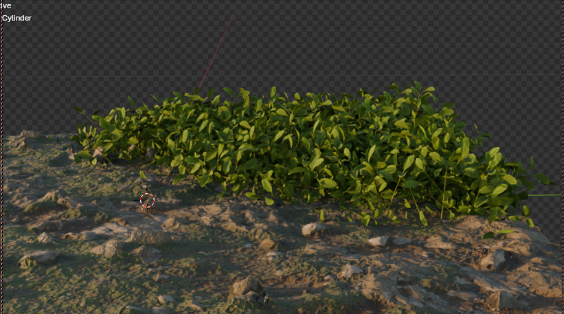 10 type of Plant Grass collection 3D model_12