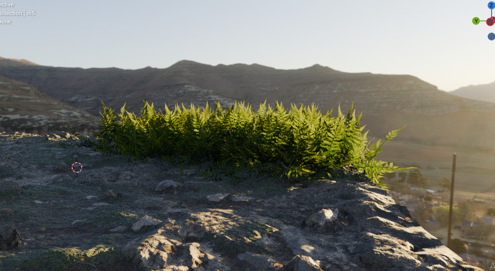 10 type of Plant Grass collection 3D model_40