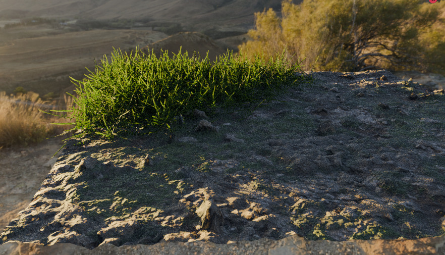 10 type of Plant Grass collection 3D model_5