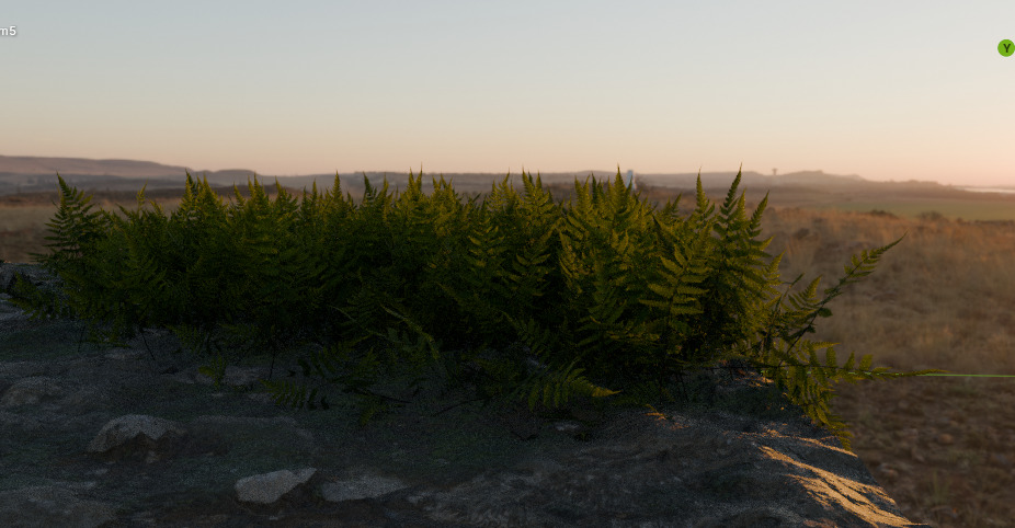 10 type of Plant Grass collection 3D model_42