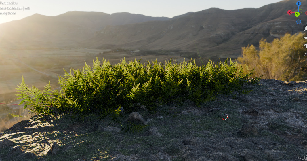 10 type of Plant Grass collection 3D model_39