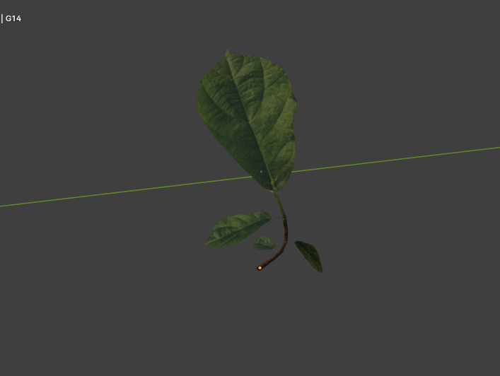 10 type of Plant Grass collection 3D model_31