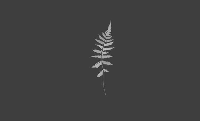 10 type of Plant Grass collection 3D model_55