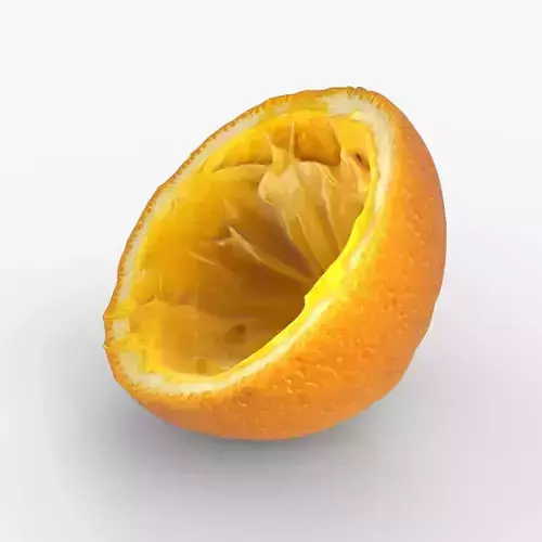 Squeezed Half Orange Peel Skin - Scan