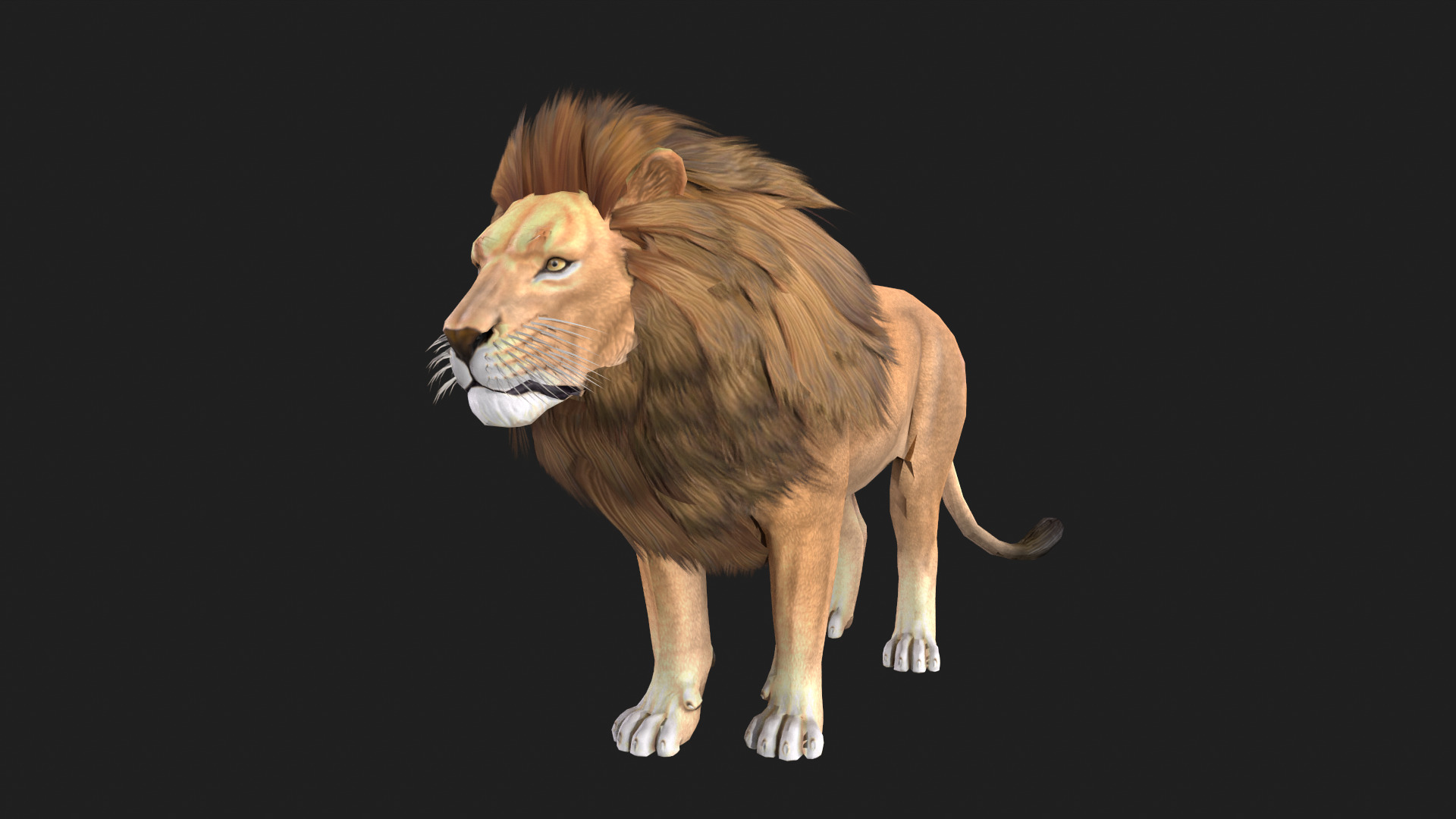 Realistic Lion Rigged and Animated for VR AR Games Low-poly 3D model_7