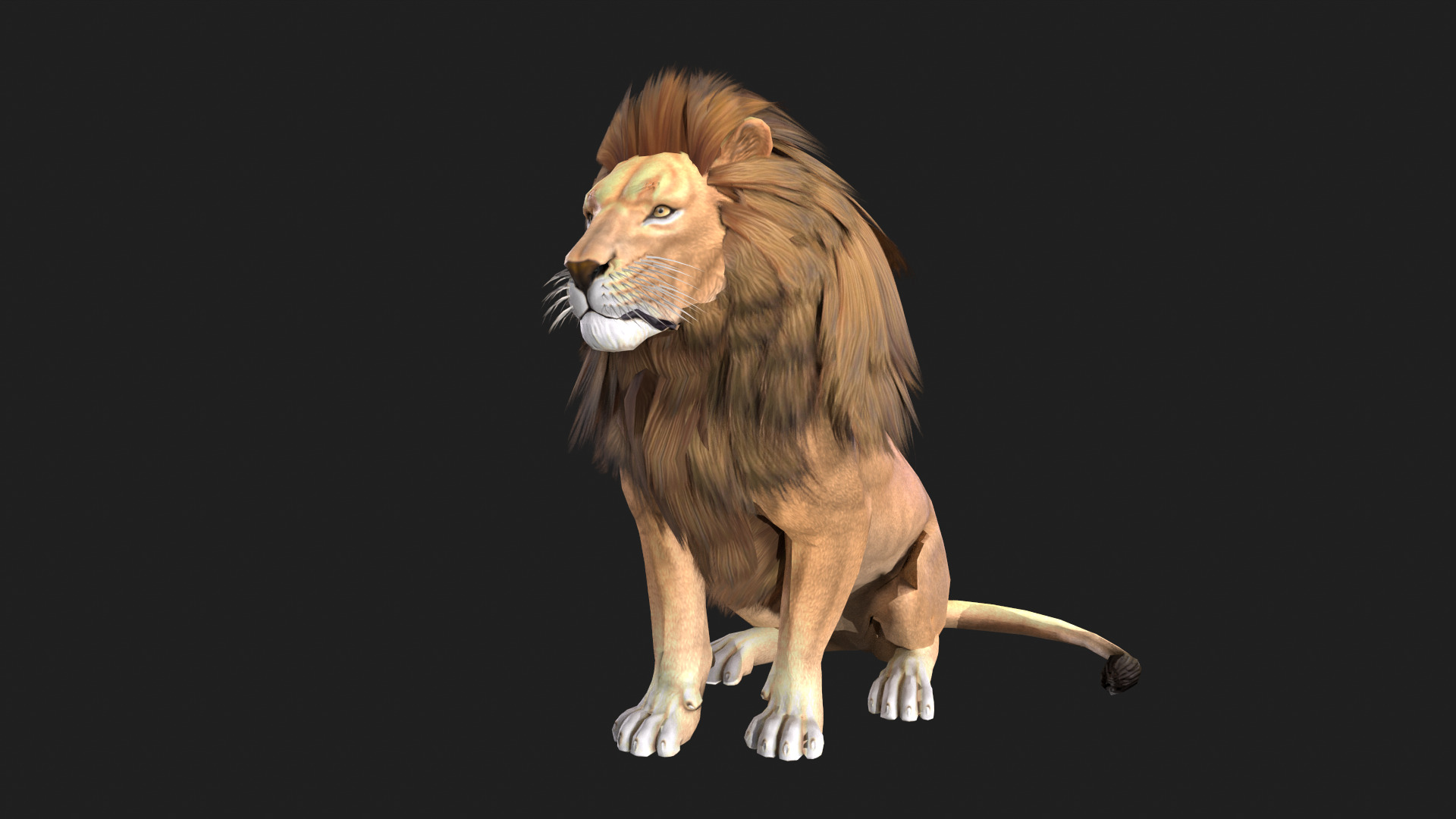 Realistic Lion Rigged and Animated for VR AR Games Low-poly 3D model_3