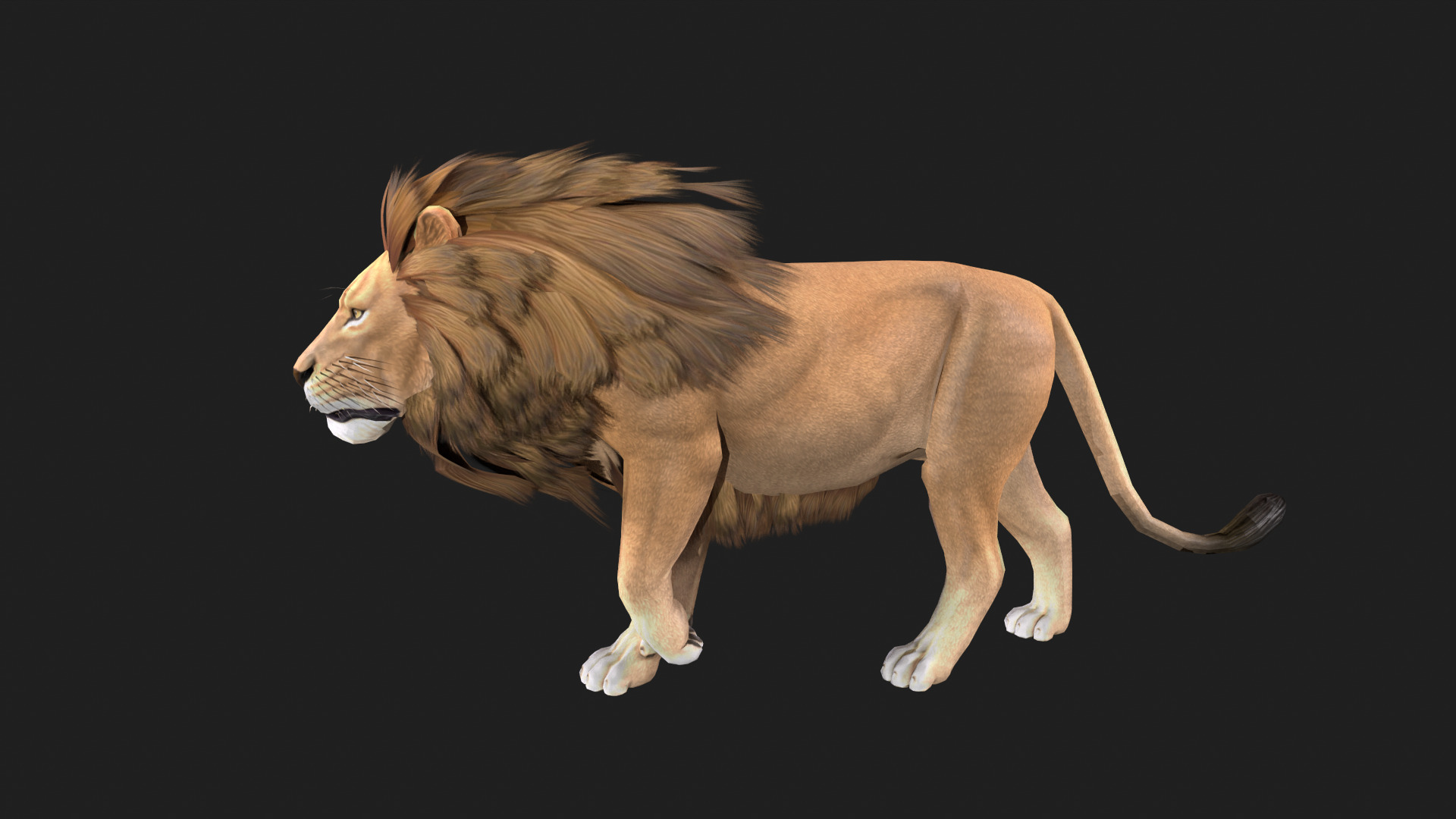 Realistic Lion Rigged and Animated for VR AR Games Low-poly 3D model_5