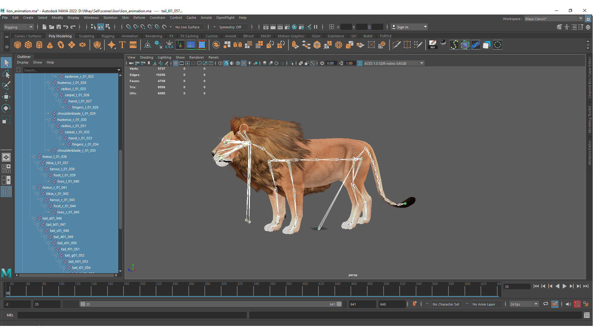 Realistic Lion Rigged and Animated for VR AR Games Low-poly 3D model_11