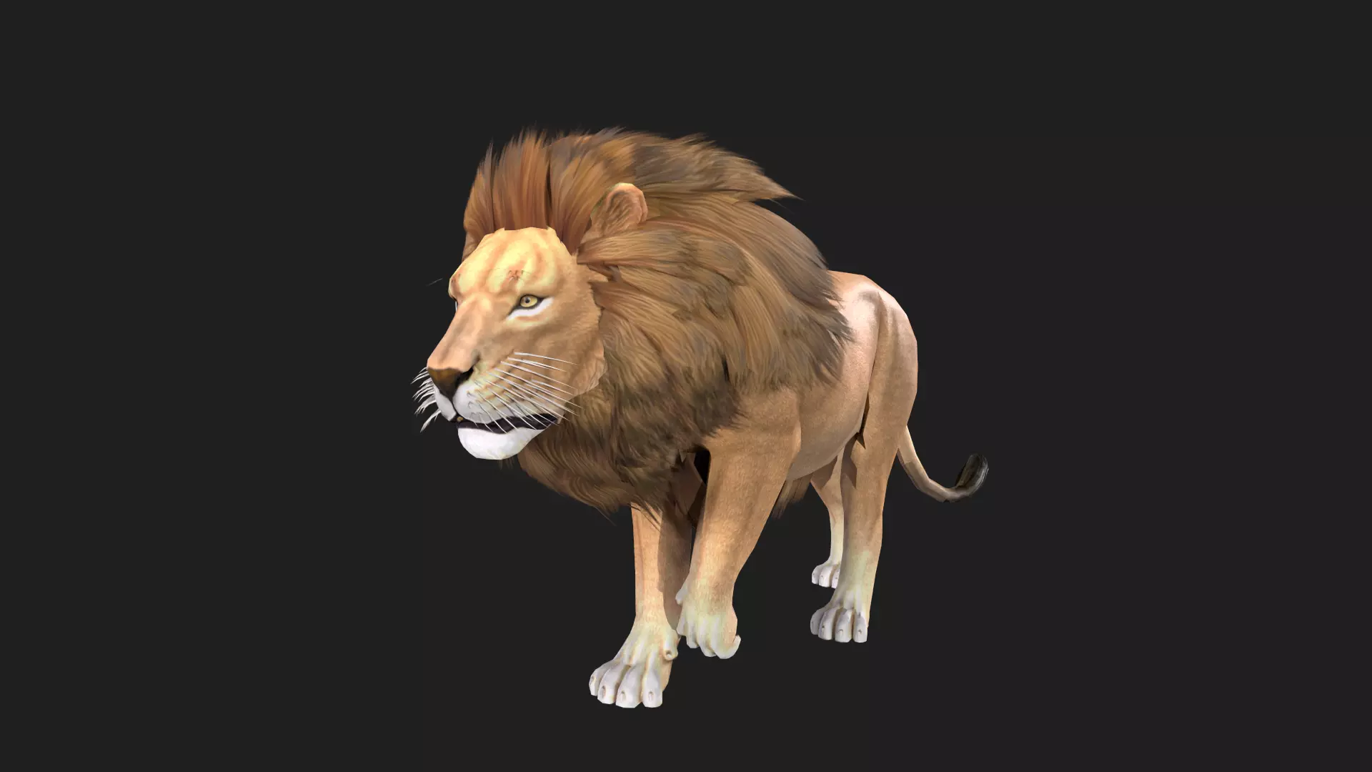 Realistic Lion Rigged and Animated for VR AR Games Low-poly 3D model_0
